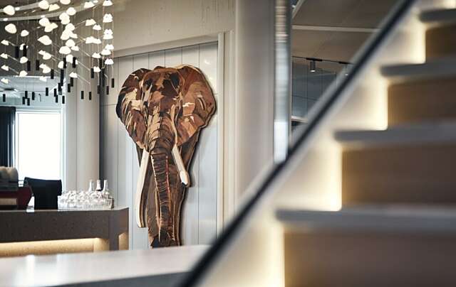 Olifant 1 2026 05 22 124946 slmk
