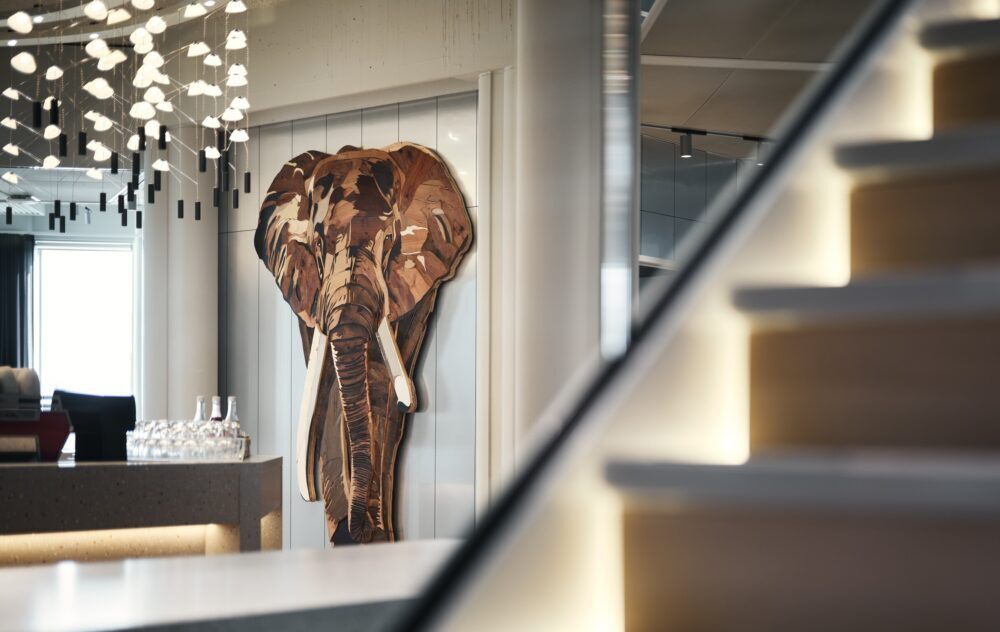 Olifant 1 2026 05 22 124946 slmk